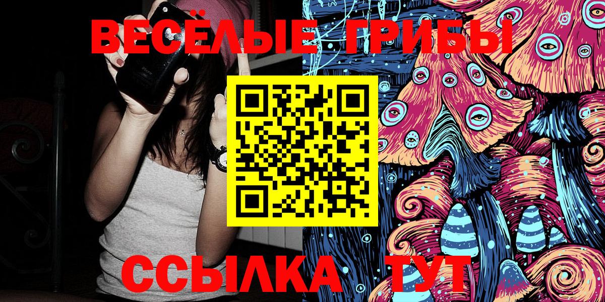 что такое   Вход с VPN  Галлюциногенные грибы Cubensis  Георгиевск  Галлюциногенные грибы мицелий 